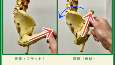 モーターコントロールってご存じですか？（例えば、#ゴルフ での腰痛予防）