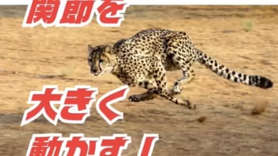 チーター🐆のように