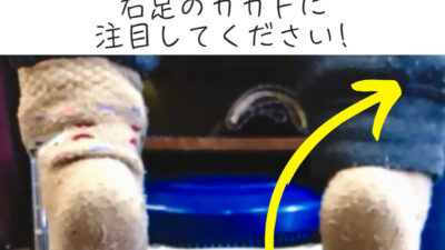 ○○が膝に与えるストレス、意外と知られていません!!