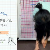 🌿【夏休みに入った今、親子で一歩を踏み出したケースをご紹介】🌿